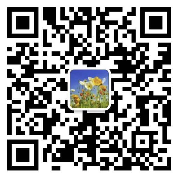 �������N(xi��o)�۲�